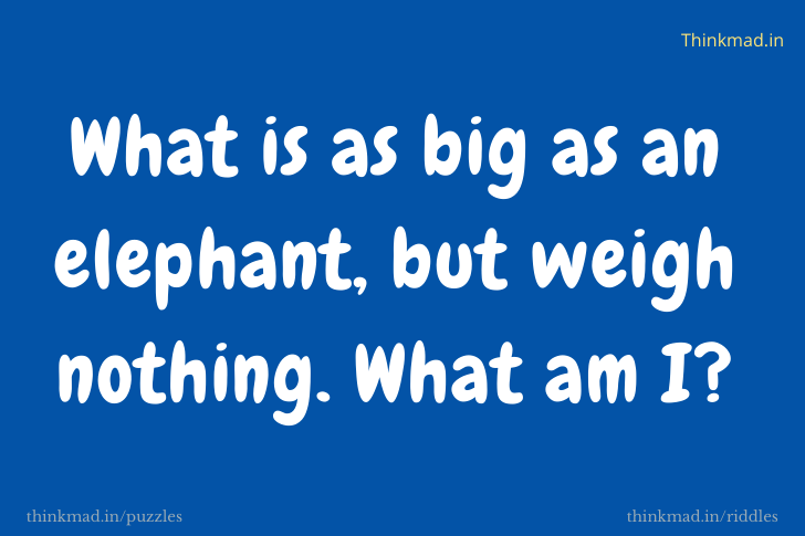 What is as big as an elephant, but weigh nothing. What am I?