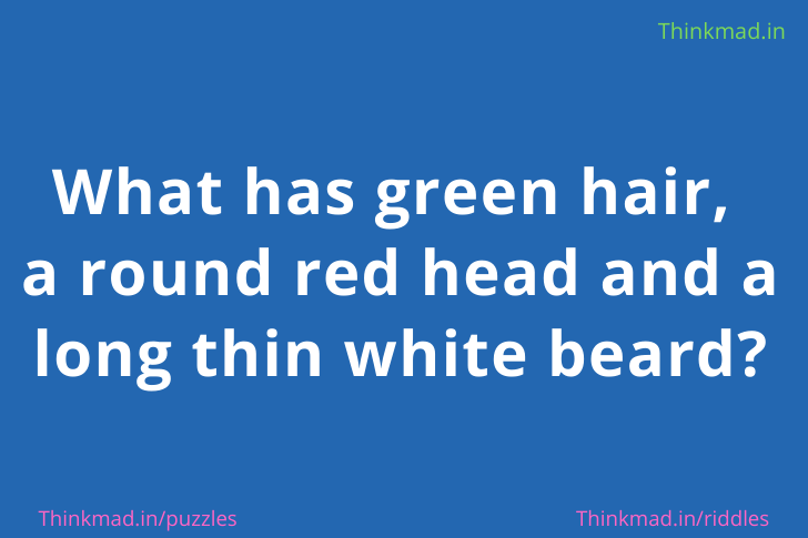 what has green hair a round red head and a long thin white beard puzzle answer