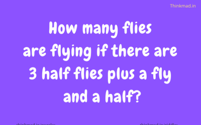 How many flies are flying if there are 3 half flies plus a fly  and a half?