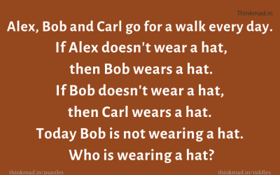 Who Is Wearing A Hat ? – tricky Puzzle