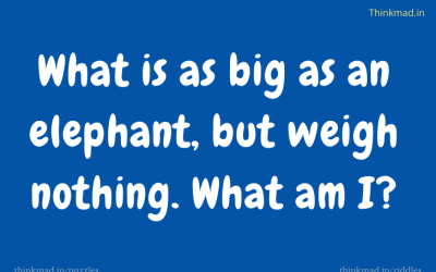 What is as big as an elephant, but weigh nothing. What am I?