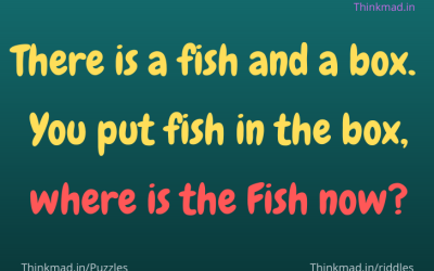 There is a fish and a box.  You put fish in the box, where is the Fish now?