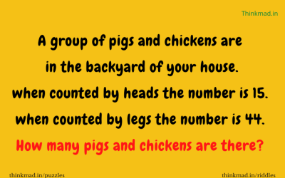 How many pigs and chickens are there? Puzzle